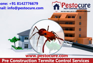 Pre-Construction Anti Termite Treatment in Hyderabad | Pre-Construction Anti Termite Treatment
