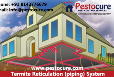 Termite Reticulation (Termite Piping) System in Hyderabad | Termite Reticulation (Termite Piping) System.