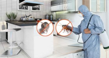 Cheap Pest Control Services in Noida At @399