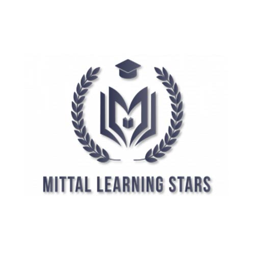 Mittal Learning Stars – Online Maths Tutor
