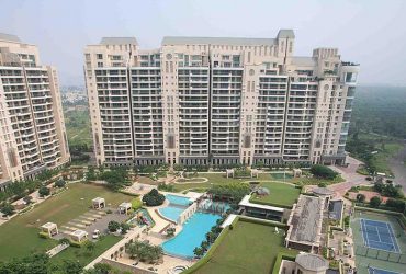 DLF Aralias Apartment on Rent in Sector 42 Gurgaon (Gurugram)