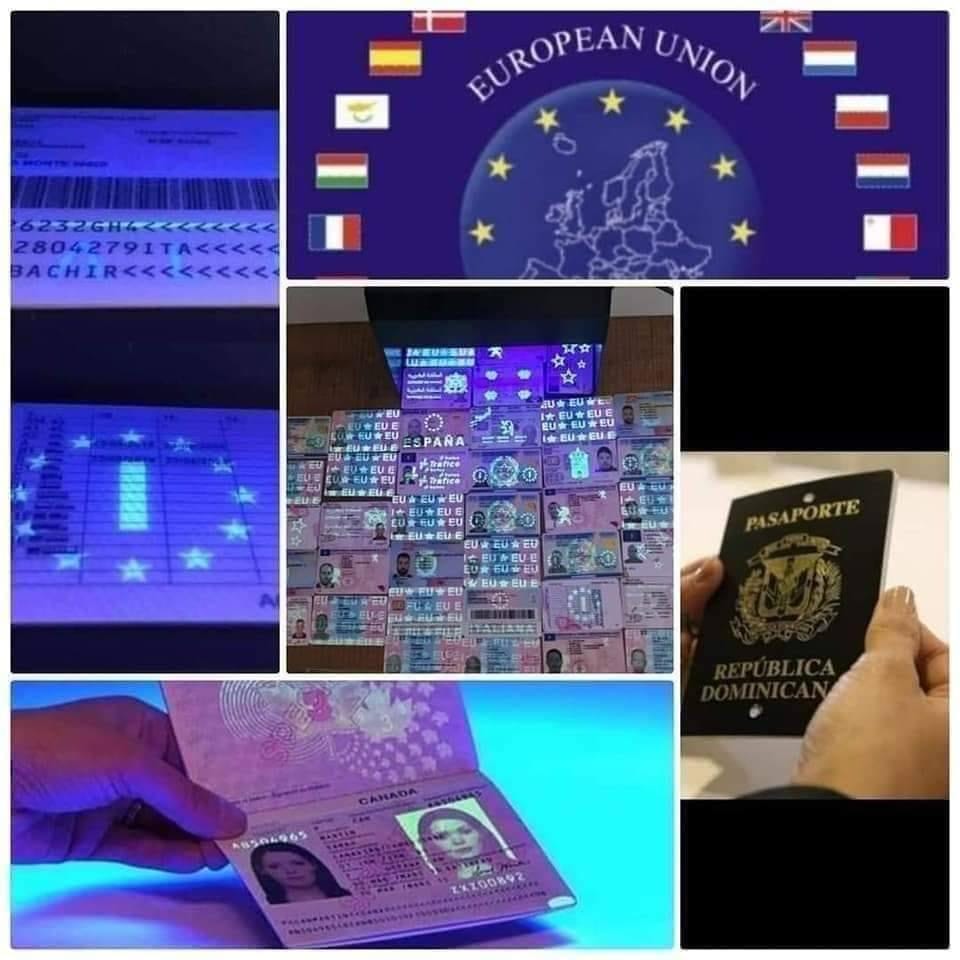 Travel Employment Agency