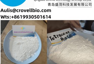 China supplier Tetracaine base CAS 94-24-6 with perfect quality