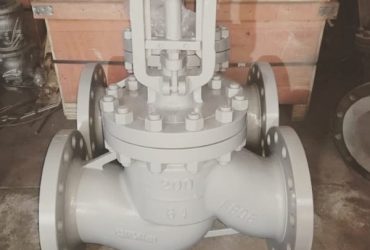 Super Duplex Globe Valve Manufacturer in India