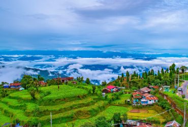 Port Blair, Havelock Tour Packages