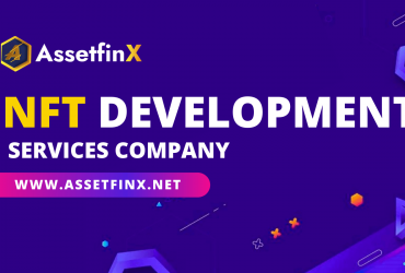 Leading NFT Development Company – AssetfinX