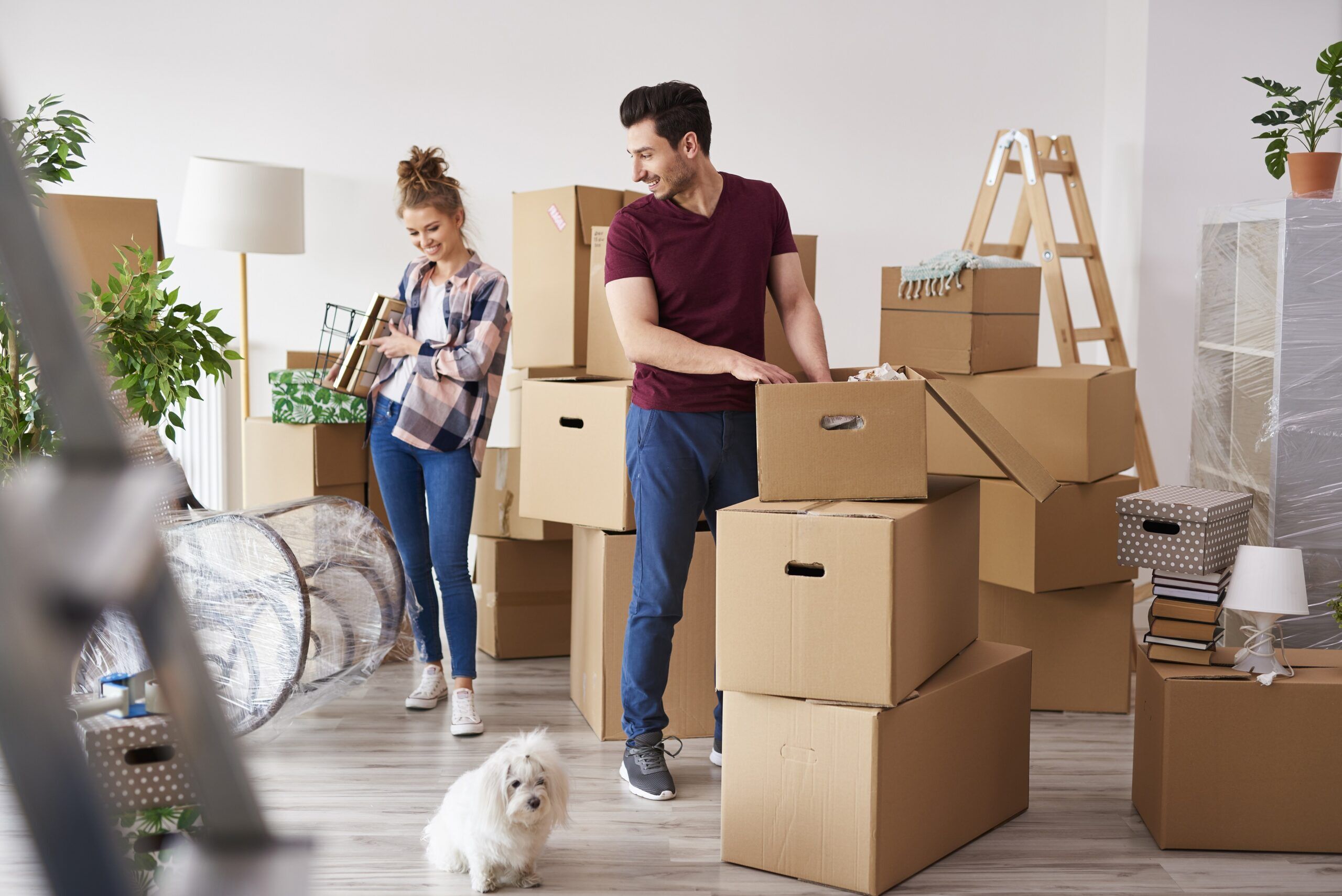 Packers and movers in chennai