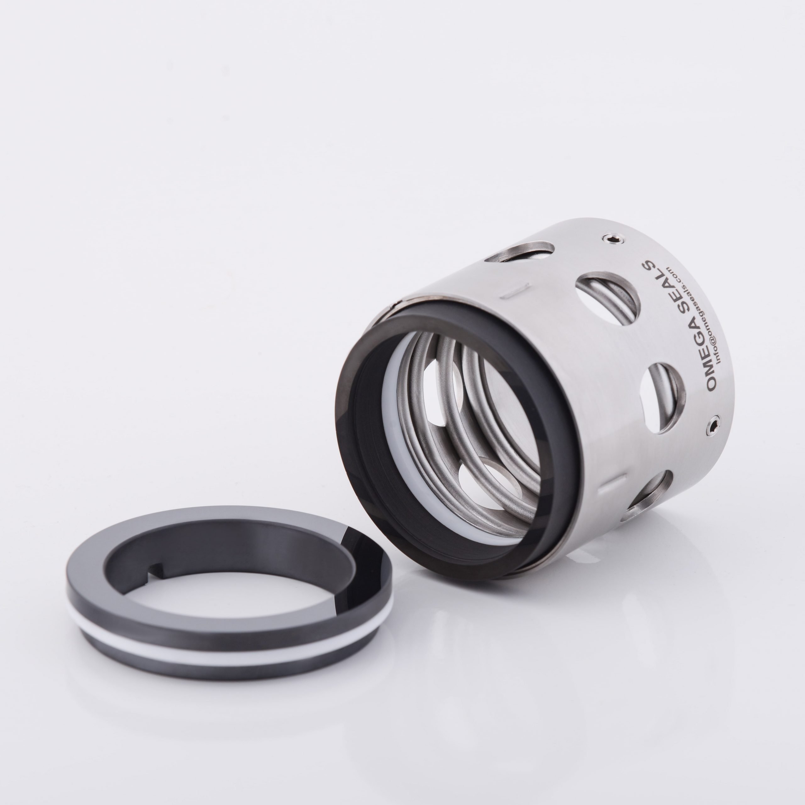 Pump Seals