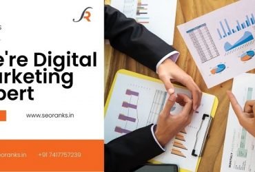 Seoranks : Best Digital Marketing Agency in Delhi NCR