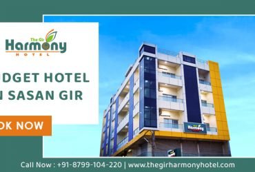 Best Hotels in Sasan Gir,Hotels in Sasan Gir