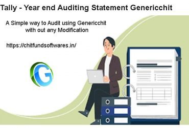 Tally Year end Auditing Statement Genericchit