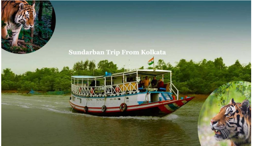 Book Best Sundarban Tour Packages | Sunderban Tour