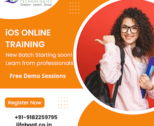 Lifeboat Technologies – Software Training Institute