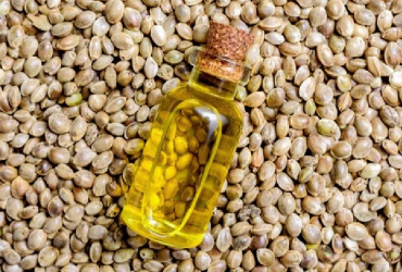 Hemp Seed Oil for Skin