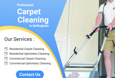 Bellingham's Best Carpet Cleaners: Expert Service for a Fresh and Clean Home