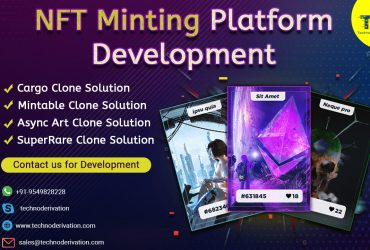 NFT MARKETPLACE DEVELOPMENT COMPANY