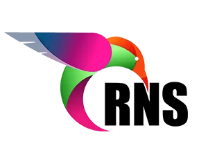 Software Development Company In Noida