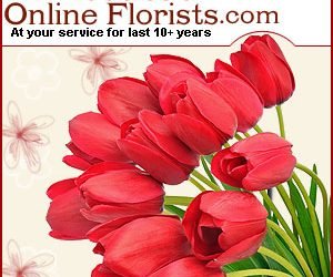 Fascinating Flower Bouquets from Best Florist Ahmedabad– Low Cost, Free Shipping