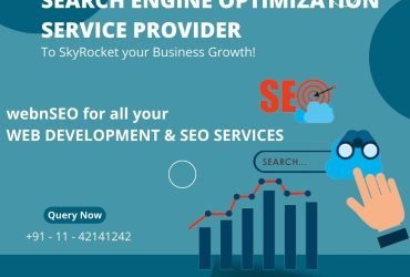 SEO services company in Delhi | WebnSEO