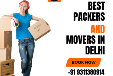 Best Packers and Movers in Delhi