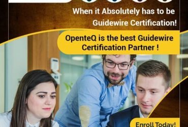 Guidewire Services, Guidewire Solutions, Guidewire Certification, Guidewire Testing, Guidewire Consultants