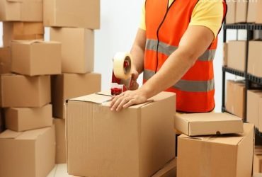 FedEx Packers and Movers Gurugram