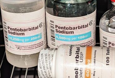 pure nembutal pentobarbital  sodium for sale in liquid, pills and powder form