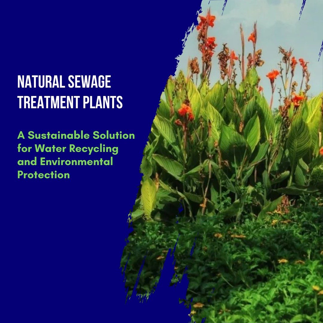 BlueDrop – Sewage Treatment Plant & Effluent Treatment Plant – India