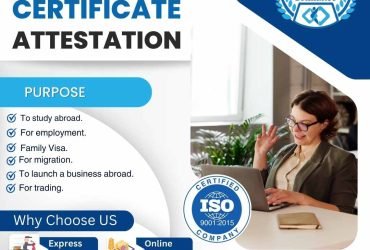 The Essential Guide To HSC Certificate Attestation For Global Recognition