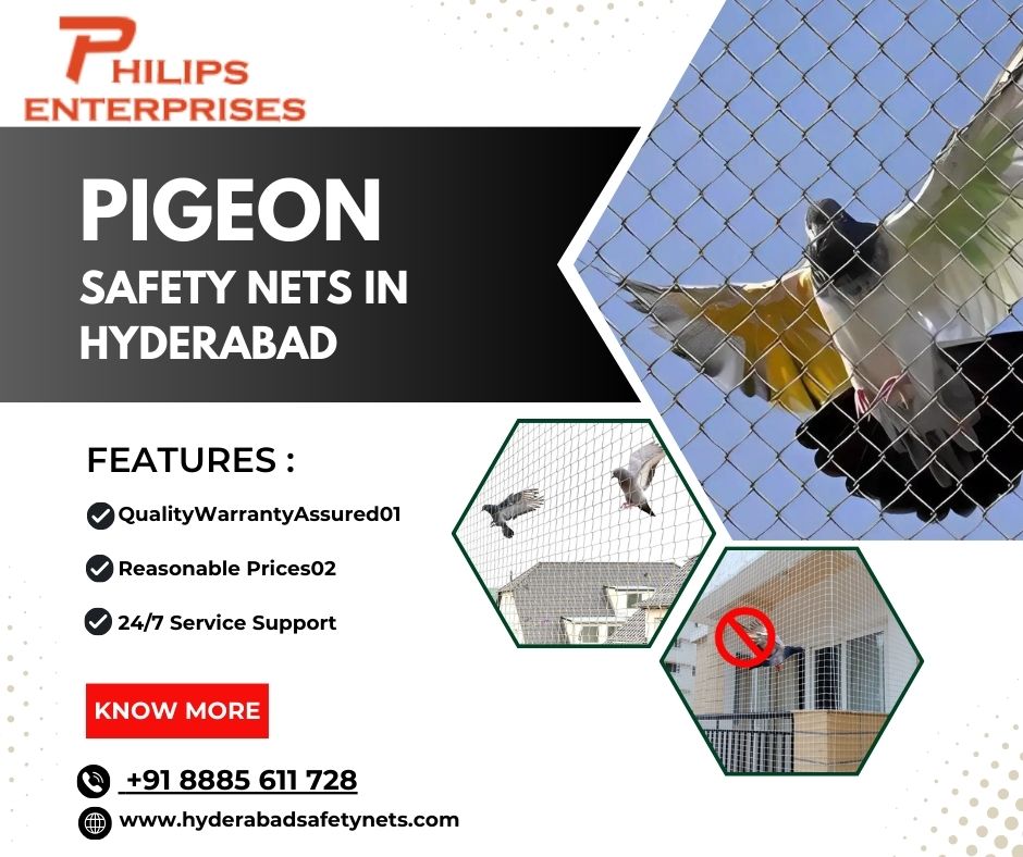 Pigeon safety Nets in Hyderabad