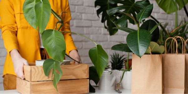 Shop Smart, Shop Sustainable with DHALIECOBAGS