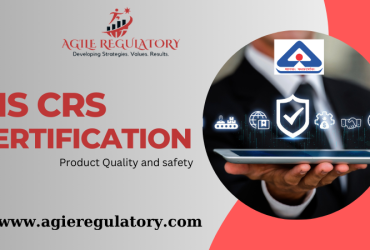 Expert CRS Certificate Consulting Services in Noida