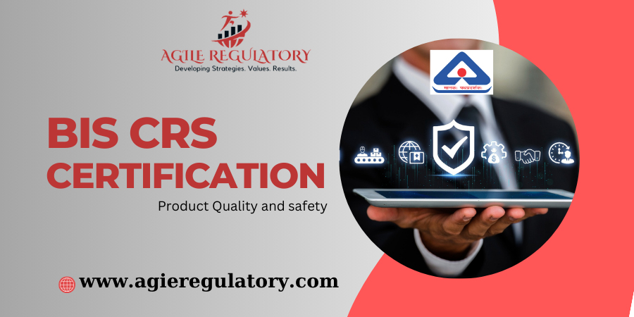 Expert CRS Certificate Consulting Services in Noida