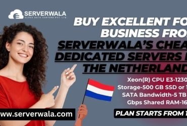 Private: Buy Serverwala’s Secure Best Dedicated Server in the Netherlands