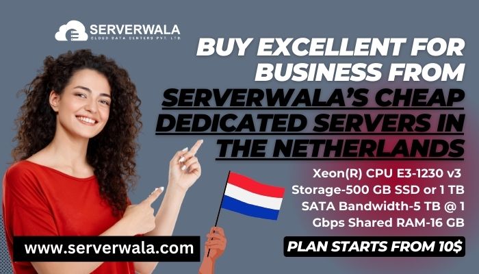 Private: Buy Serverwala’s Secure Best Dedicated Server in the Netherlands