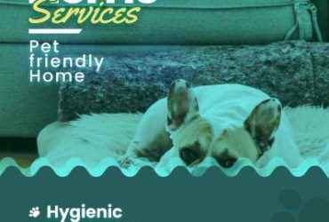 Dog Hostel in Kochi