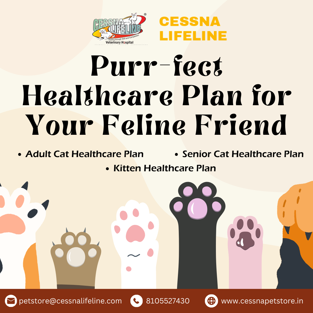 Cat Healthcare Plan