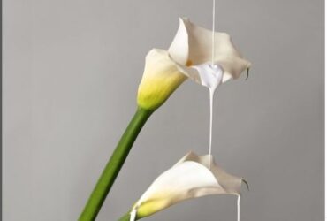 Buy Dried Flowers Online In Bangalore