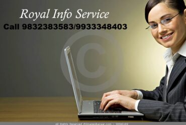 Online Data Entry Job
