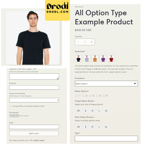 Boost Your Shopify Sales with Drodl