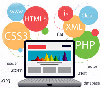 Dynamic Website | Swapra Technologies