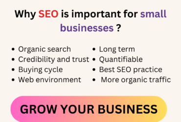 Achieve Local Domination: Trust the Best SEO Company for Your Small Business
