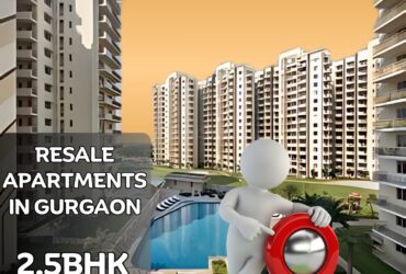 Private: Resale Flats and Apartments in Gurgaon – The Perfect Investment