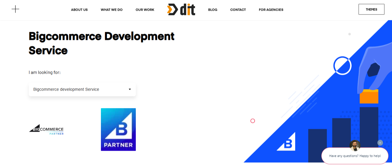 Bigcommerce development services | Bigcommerce web design company