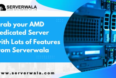 Private: Private: Private: Grab your AMD Dedicated Server with Lots of Features from Serverwala