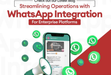 WhatsApp Business Solution Provider