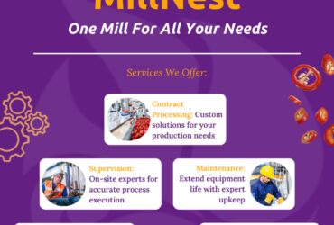 MillNest – One Mill for All Your Needs | EPC Services & Processing Equipment