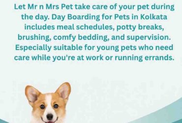 Day Boarding for Pets in Kolkata