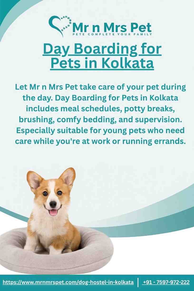Day Boarding for Pets in Kolkata