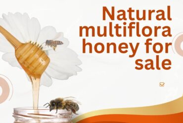 Natural Multiflora Honey for Sale